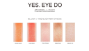 Blush Stick